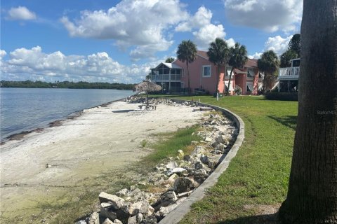 Condo in Saint Petersburg, Florida, 2 bedrooms  № 1784978 - photo 24