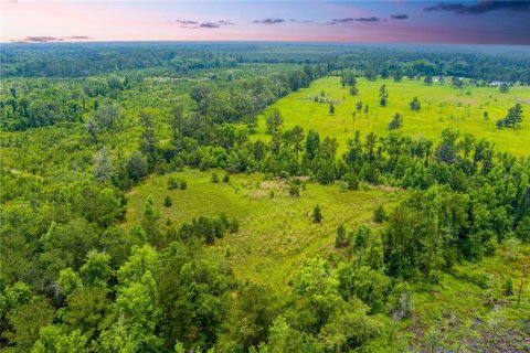 Land in Lake City, Florida № 1242954 - photo 8