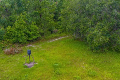 Land in Lake City, Florida № 1242954 - photo 4
