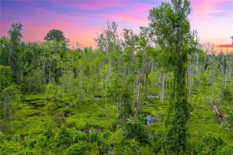 Land in Lake City, Florida № 1242954 - photo 12