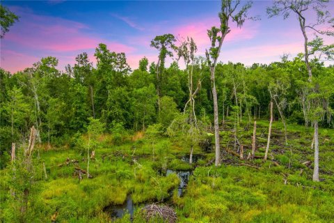 Land in Lake City, Florida № 1242954 - photo 6