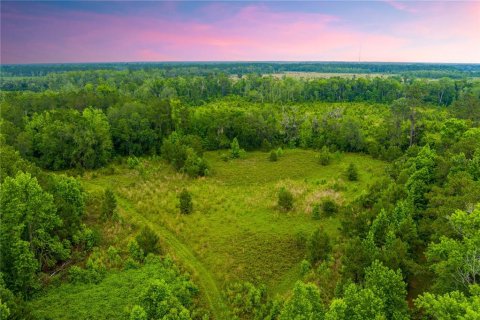 Land in Lake City, Florida № 1242954 - photo 5