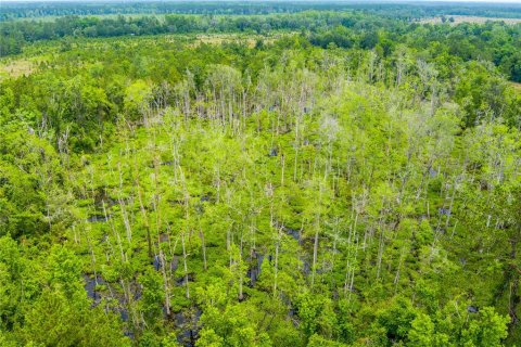 Land in Lake City, Florida № 1242954 - photo 15