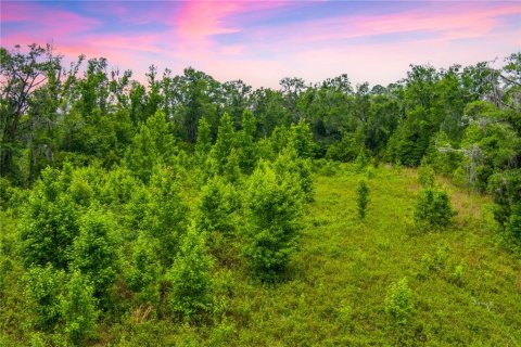 Land in Lake City, Florida № 1242954 - photo 9