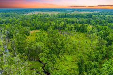 Land in Lake City, Florida № 1242954 - photo 13