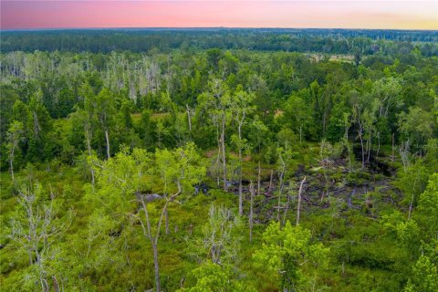 Land in Lake City, Florida № 1242954 - photo 10