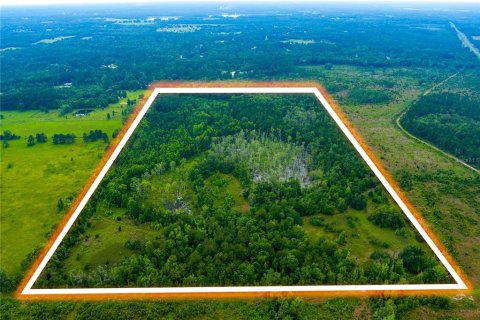 Land in Lake City, Florida № 1242954 - photo 1