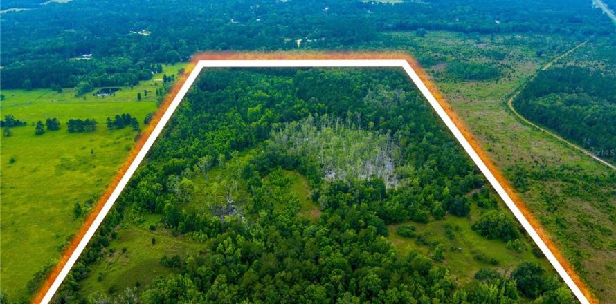 Land in Lake City, Florida № 1242954