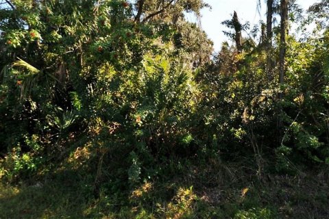 Land in North Port, Florida № 2162447 - photo 2