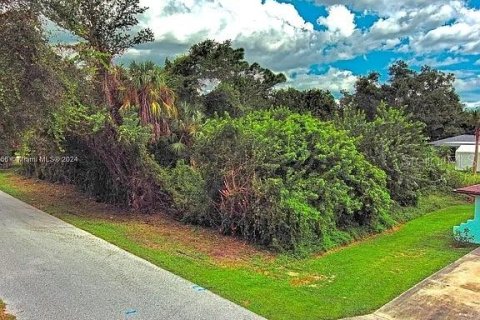 Land in Port Charlotte, Florida № 2164286 - photo 5