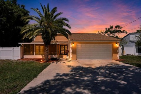 House in Tarpon Springs, Florida 3 bedrooms, 179.21 sq.m. № 2353344