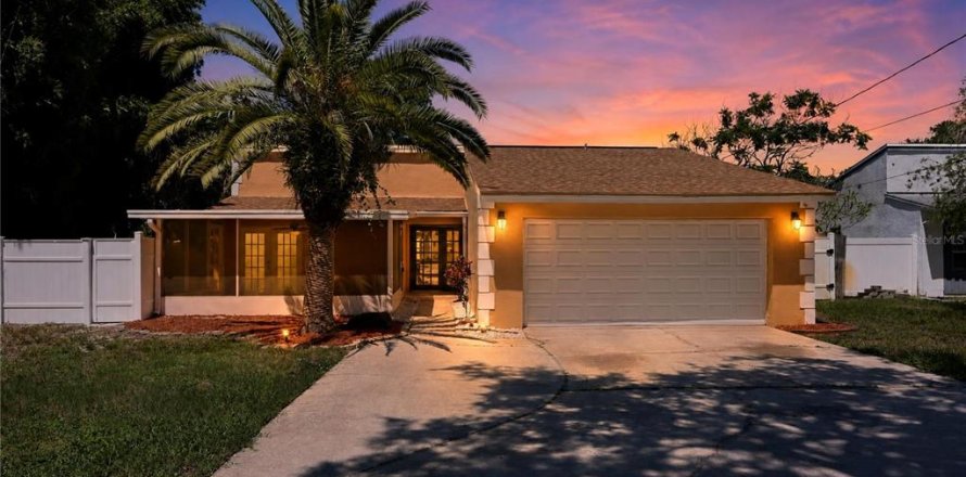 Villa ou maison à Tarpon Springs, Floride 3 chambres, 179.21 m2 № 2353344