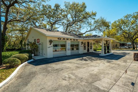 Propiedad comercial en venta en Seffner, Florida, 201.23 m2 № 2430804 - foto 3
