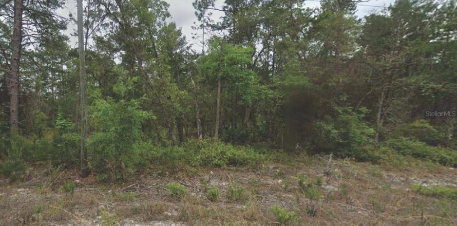 Terrain à Satsuma, Floride № 2160320