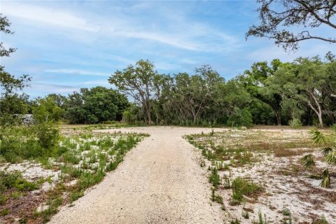 Land in Leesburg, Florida № 2233687 - photo 4