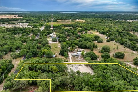 Land in Leesburg, Florida № 2233687 - photo 8