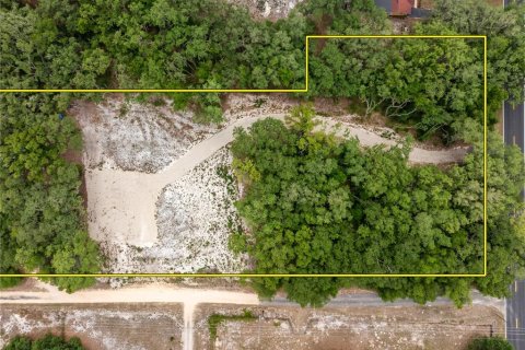 Land in Leesburg, Florida № 2233687 - photo 10