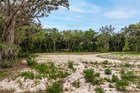 Land in Leesburg, Florida № 2233687 - photo 5