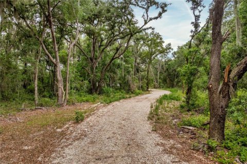 Land in Leesburg, Florida № 2233687 - photo 3