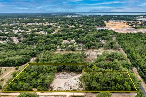 Land in Leesburg, Florida № 2233687 - photo 7