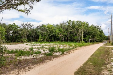 Land in Leesburg, Florida № 2233687 - photo 12