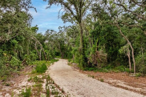 Land in Leesburg, Florida № 2233687
