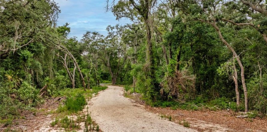 Land in Leesburg, Florida № 2233687