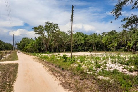 Land in Leesburg, Florida № 2233687 - photo 11