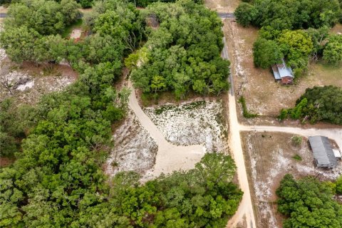 Land in Leesburg, Florida № 2233687 - photo 14