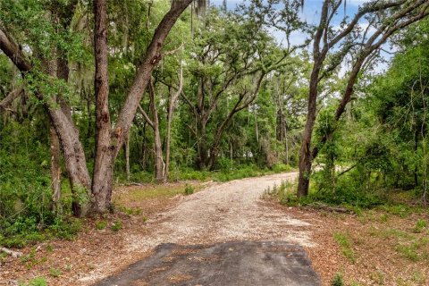 Land in Leesburg, Florida № 2233687 - photo 2