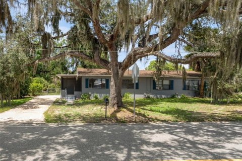 House in Eustis, Florida 2 bedrooms, 67.35 sq.m. № 2204254