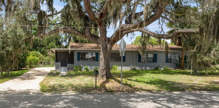 House in Eustis, Florida 2 bedrooms, 67.35 sq.m. № 2204254
