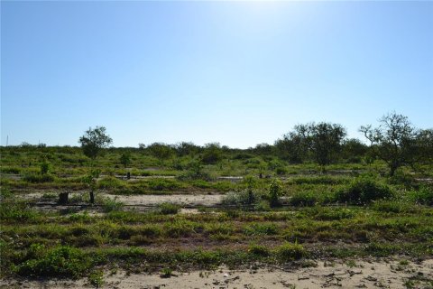 Land in Babson Park, Florida № 1851199 - photo 3