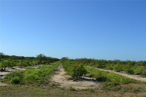 Land in Babson Park, Florida № 1851199 - photo 2