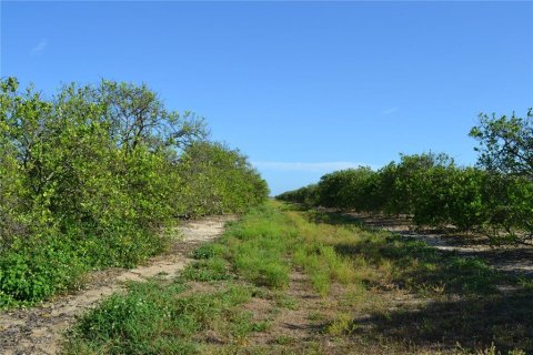 Land in Babson Park, Florida № 1851199 - photo 4