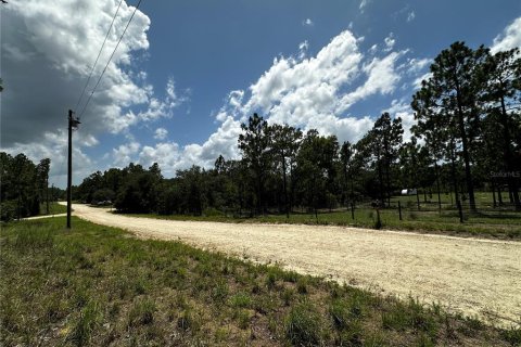 Terrain à vendre à Williston, Floride № 2230064 - photo 8