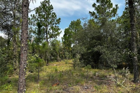 Terrain à Williston, Floride № 2230064