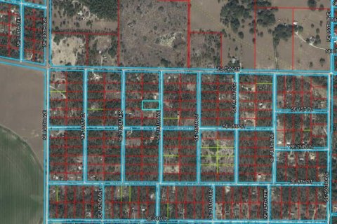 Terrain à vendre à Williston, Floride № 2230064 - photo 2