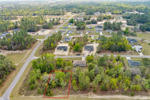 Terreno en venta en Ocala, Florida № 1636466 - foto 7