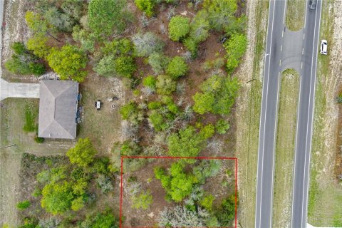 Terreno en venta en Ocala, Florida № 1636466 - foto 6