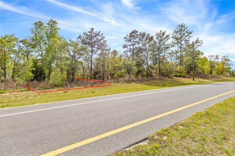 Terreno en venta en Ocala, Florida № 1636466 - foto 3