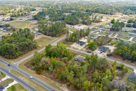 Terreno en venta en Ocala, Florida № 1636466 - foto 8