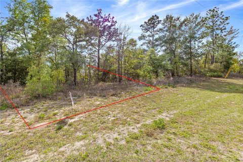 Terreno en venta en Ocala, Florida № 1636466 - foto 2
