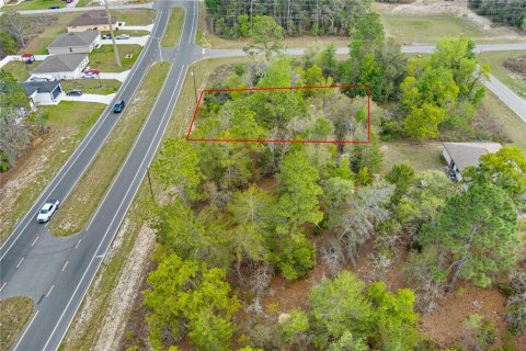 Terreno en venta en Ocala, Florida № 1636466 - foto 5