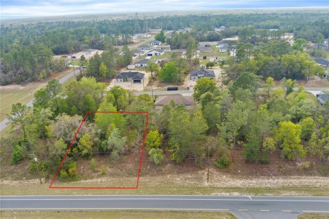 Terreno en venta en Ocala, Florida № 1636466 - foto 1