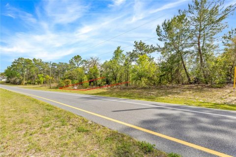 Terreno en venta en Ocala, Florida № 1636466 - foto 4