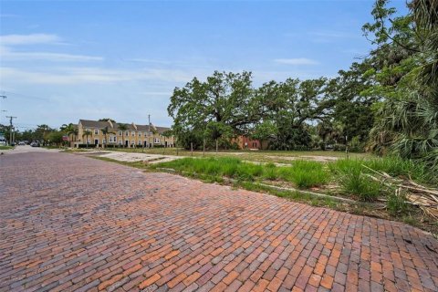 Land in Tampa, Florida № 1782537 - photo 8