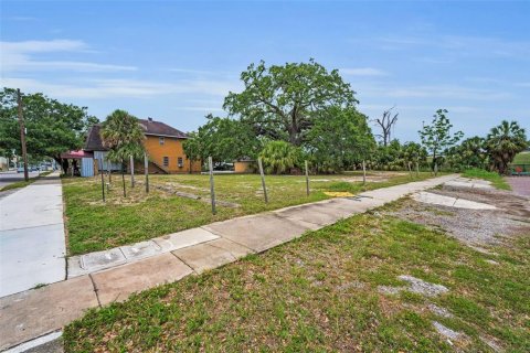 Land in Tampa, Florida № 1782537 - photo 5
