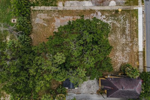 Land in Tampa, Florida № 1782537 - photo 12