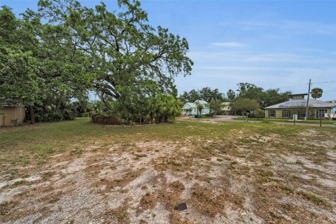Land in Tampa, Florida № 1782537 - photo 9
